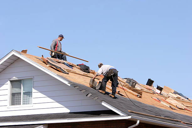 Best Solar Panel Roofing Installation  in Garner, IA